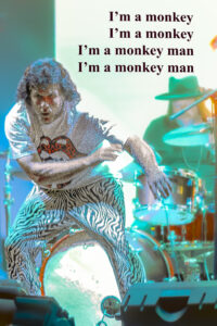 Bill Harris Monkey Man (1 of 1)